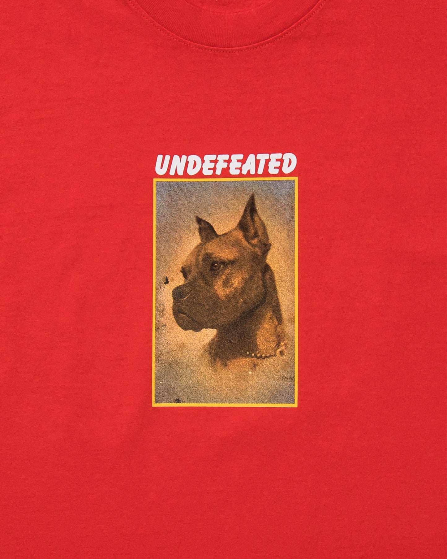 Undefeated Clothing - UNDEFEATED LOYAL S/S TEE