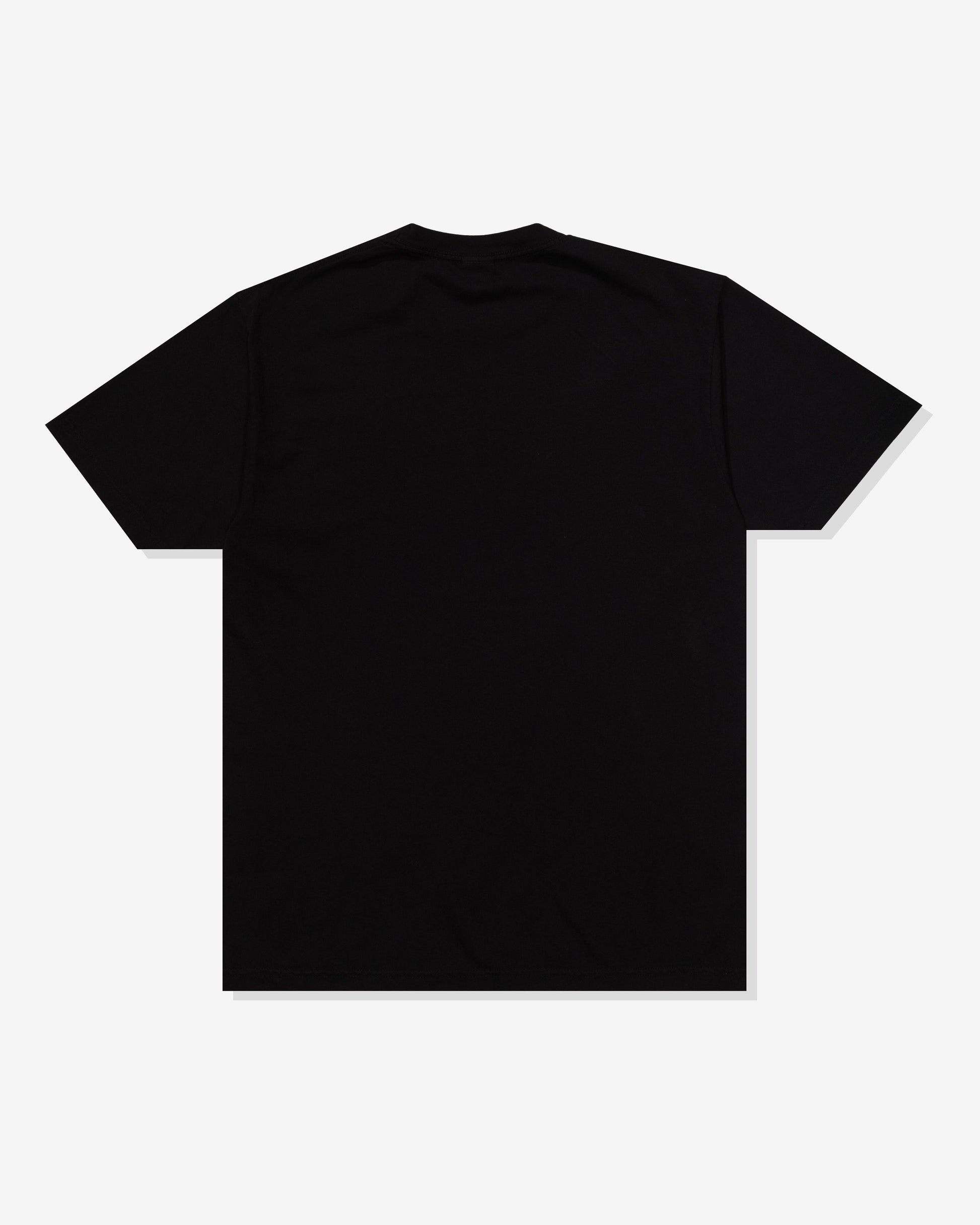 Undefeated Clothing - UNDEFEATED DIRTY STATE S/S TEE