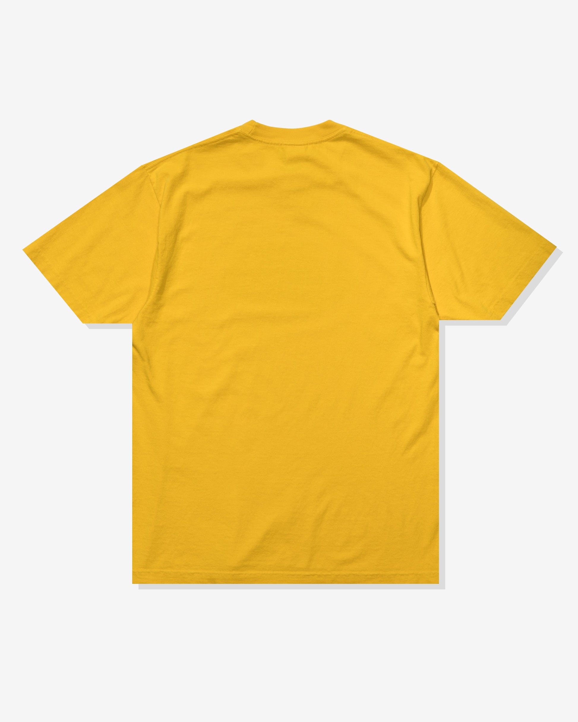 Undefeated Clothing - UNDEFEATED DIRTY STATE S/S TEE