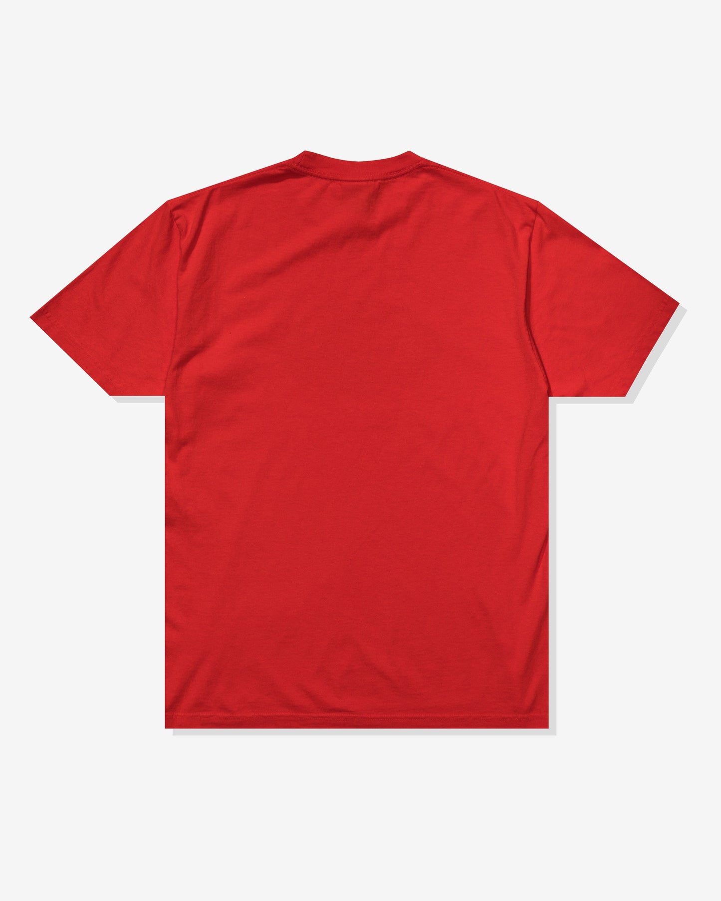 Undefeated Clothing - UNDEFEATED DIRTY STATE S/S TEE