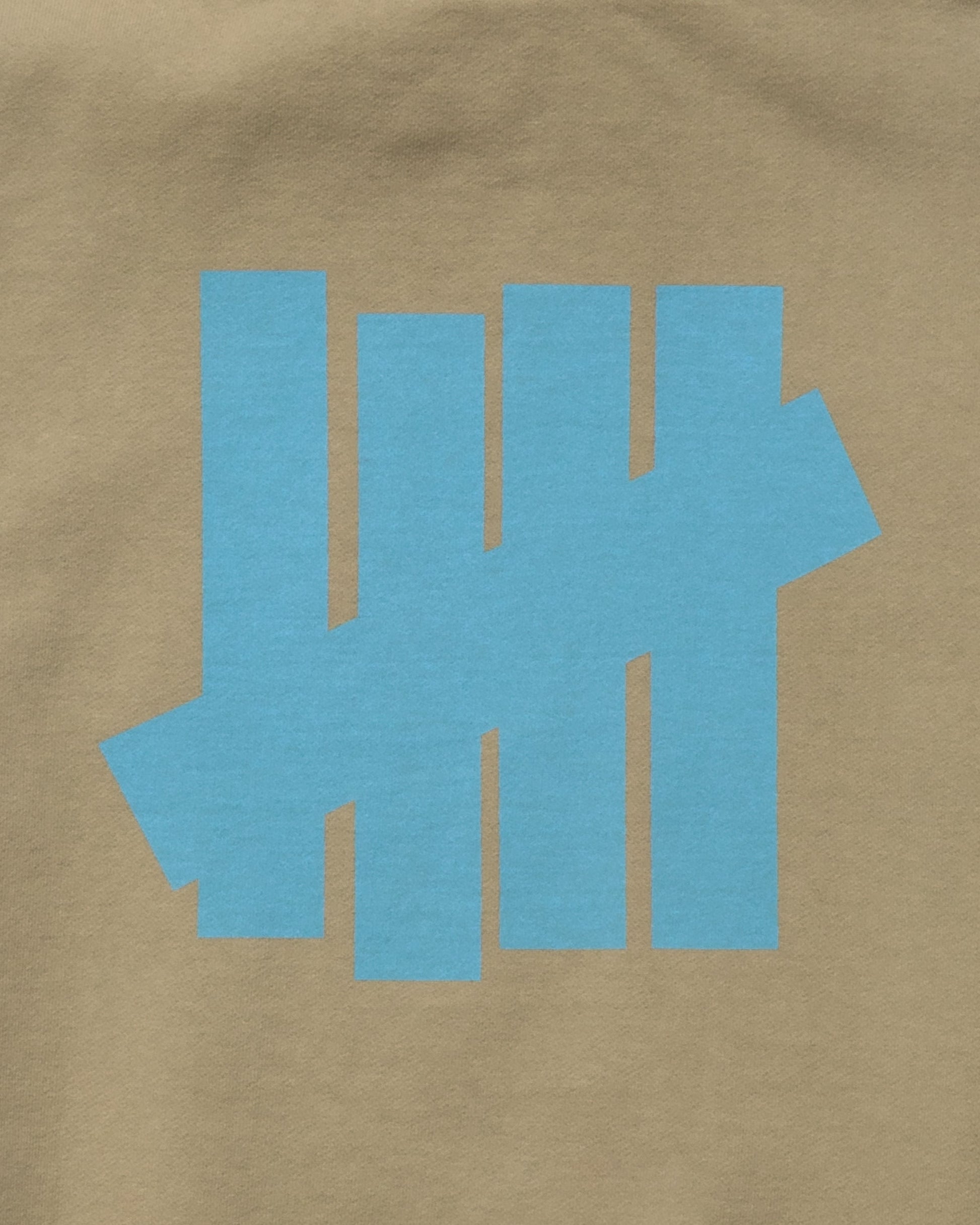 Undefeated Clothing - UNDEFEATED ICON PULLOVER HOOD