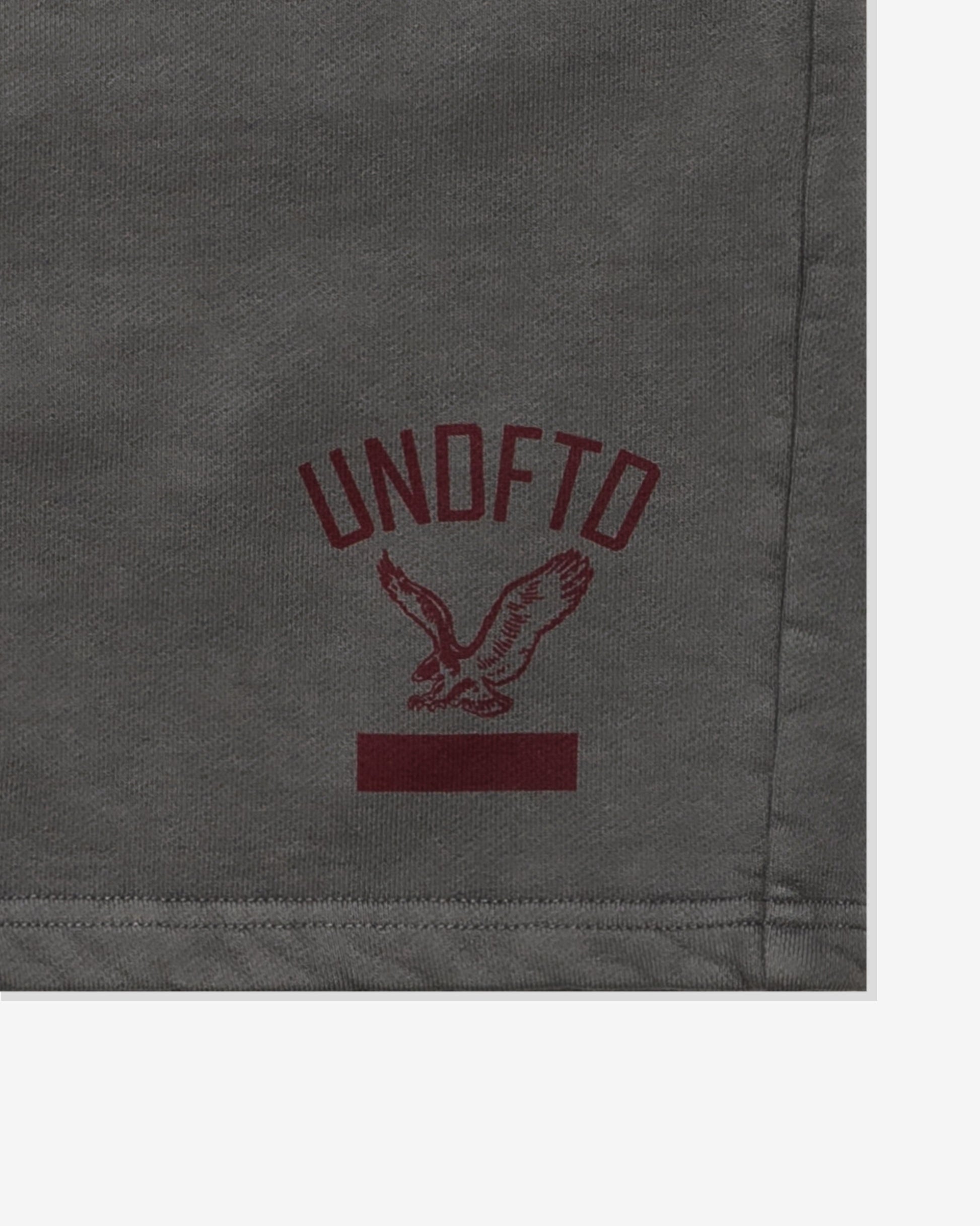 Undefeated Clothing - UNDEFEATED STATE SWEATSHORT