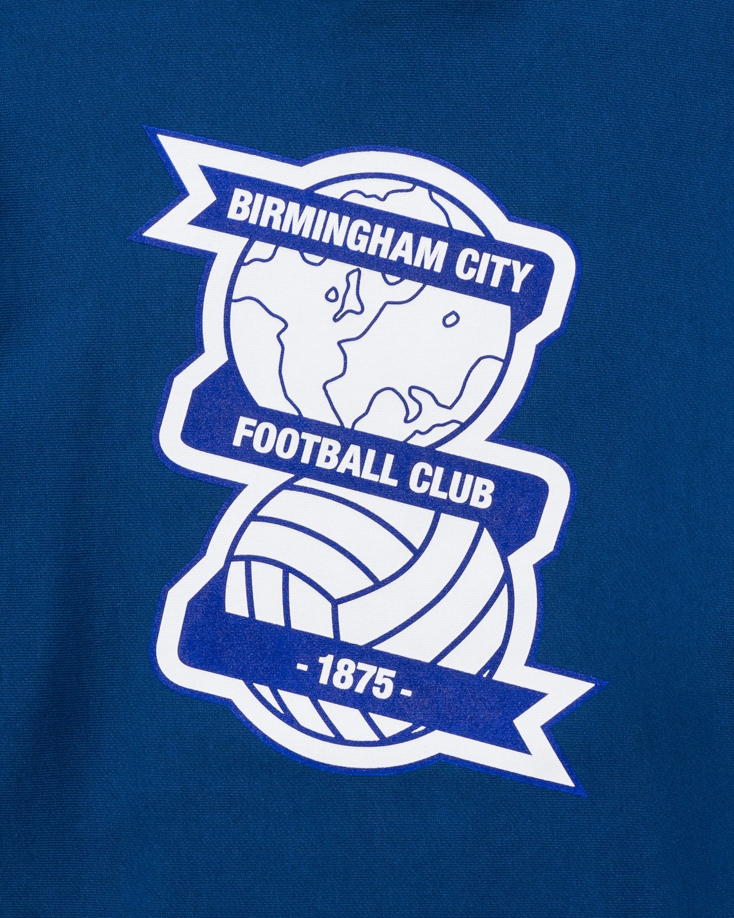Undefeated Clothing - UNDEFEATED X BCFC TEAM HOODIE