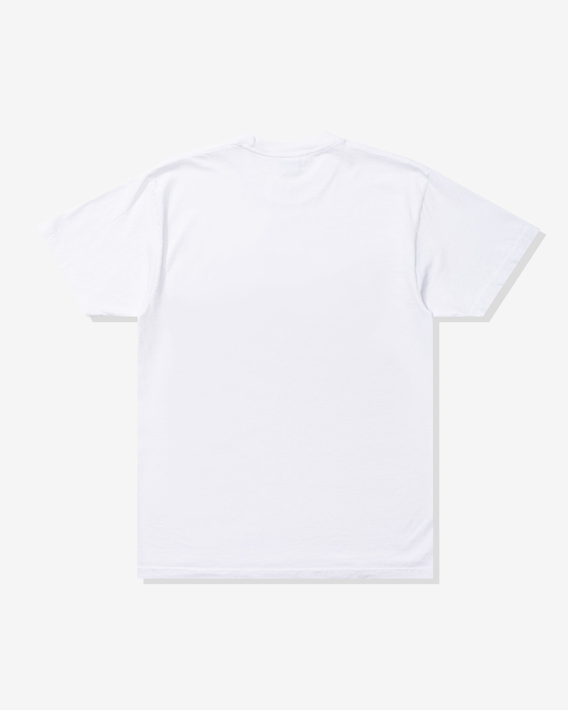 Undefeated Clothing - UNDEFEATED REGIONAL S/S TEE - LV