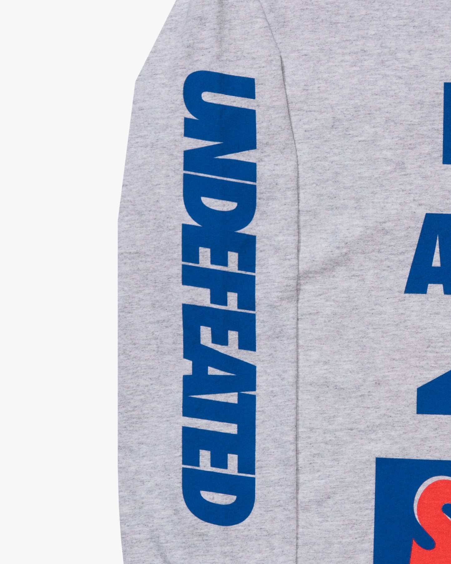 Undefeated Clothing - UNDEFEATED DON'T ASK L/S TEE