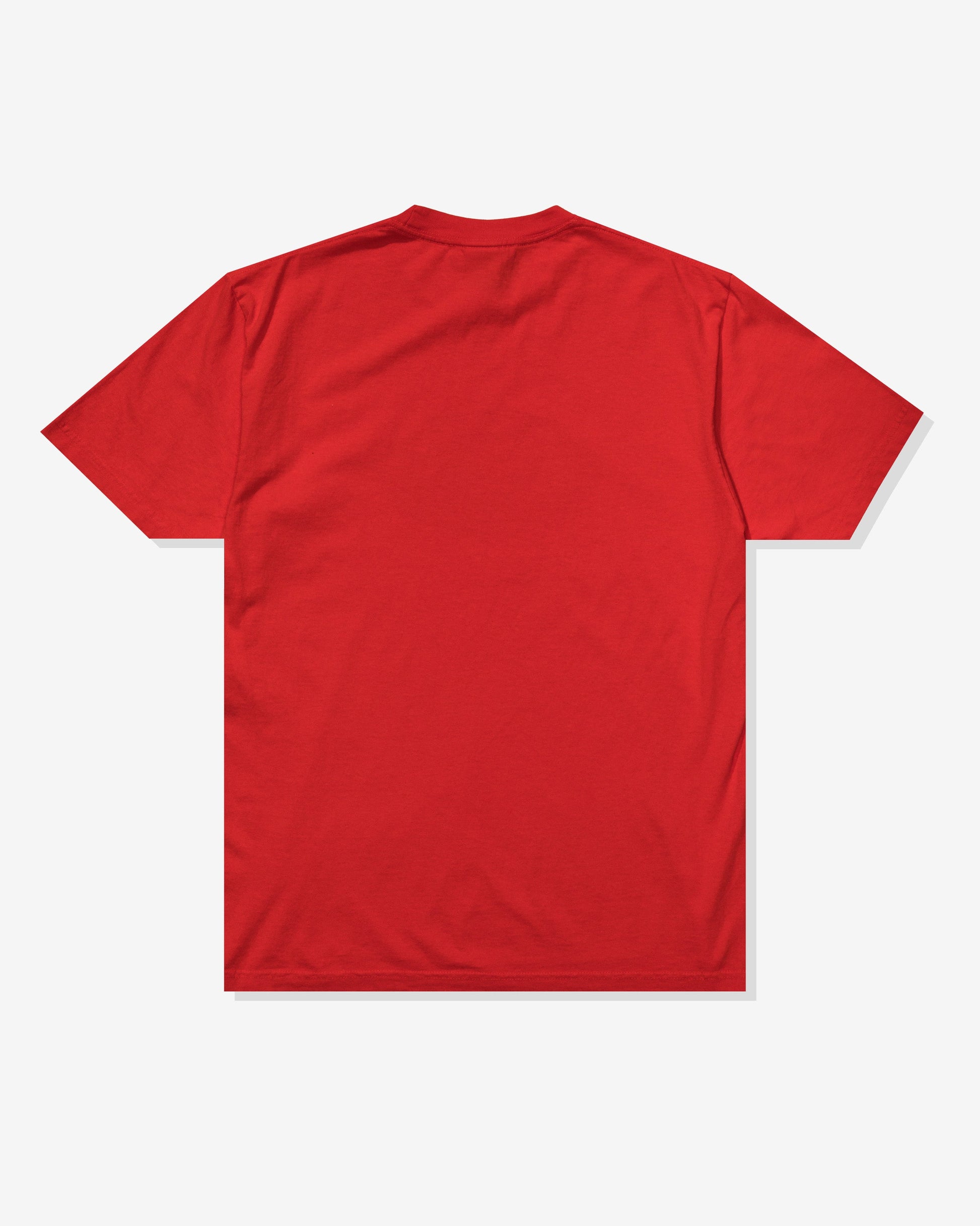 Undefeated Clothing - UNDEFEATED DIRTY STATE S/S TEE