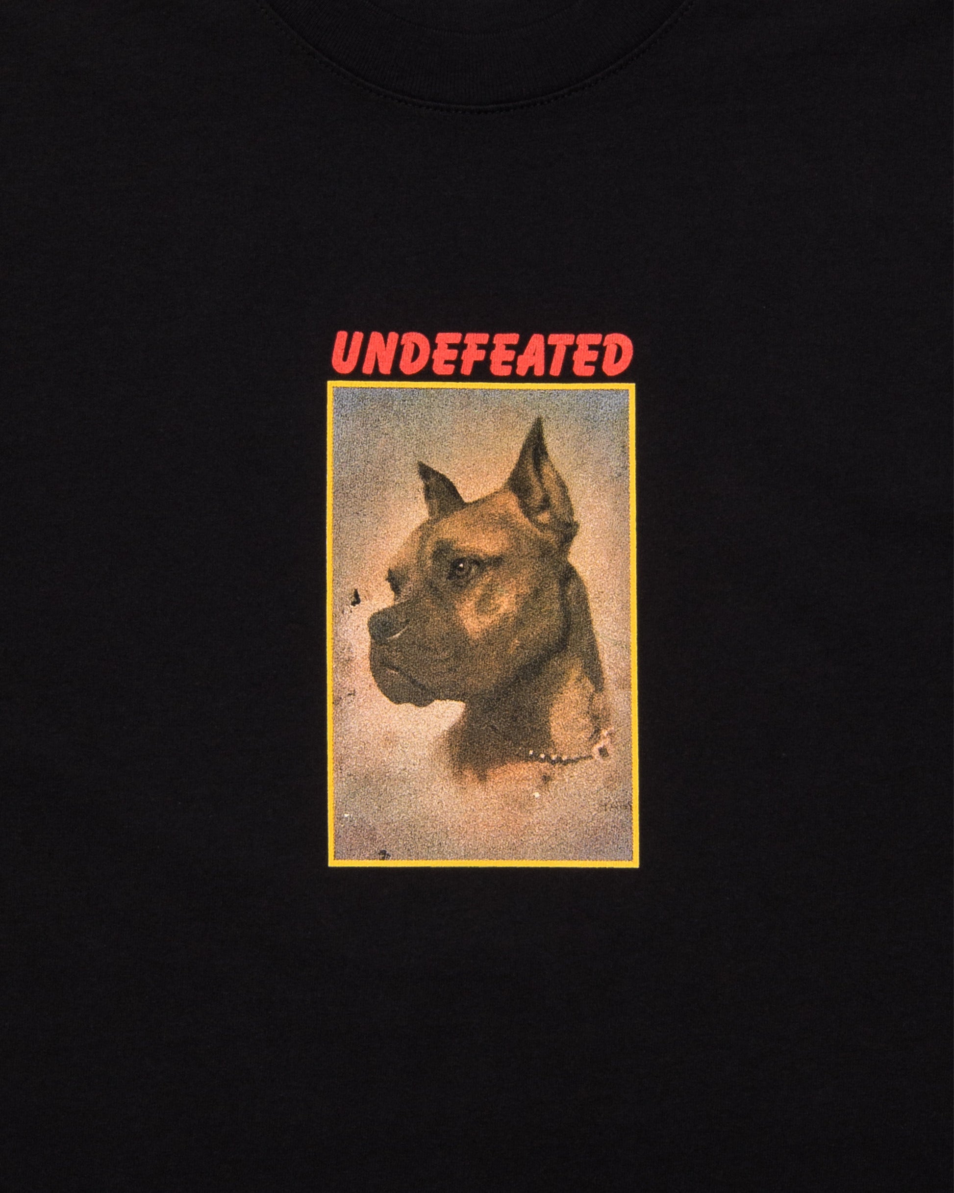 Undefeated Clothing - UNDEFEATED LOYAL S/S TEE