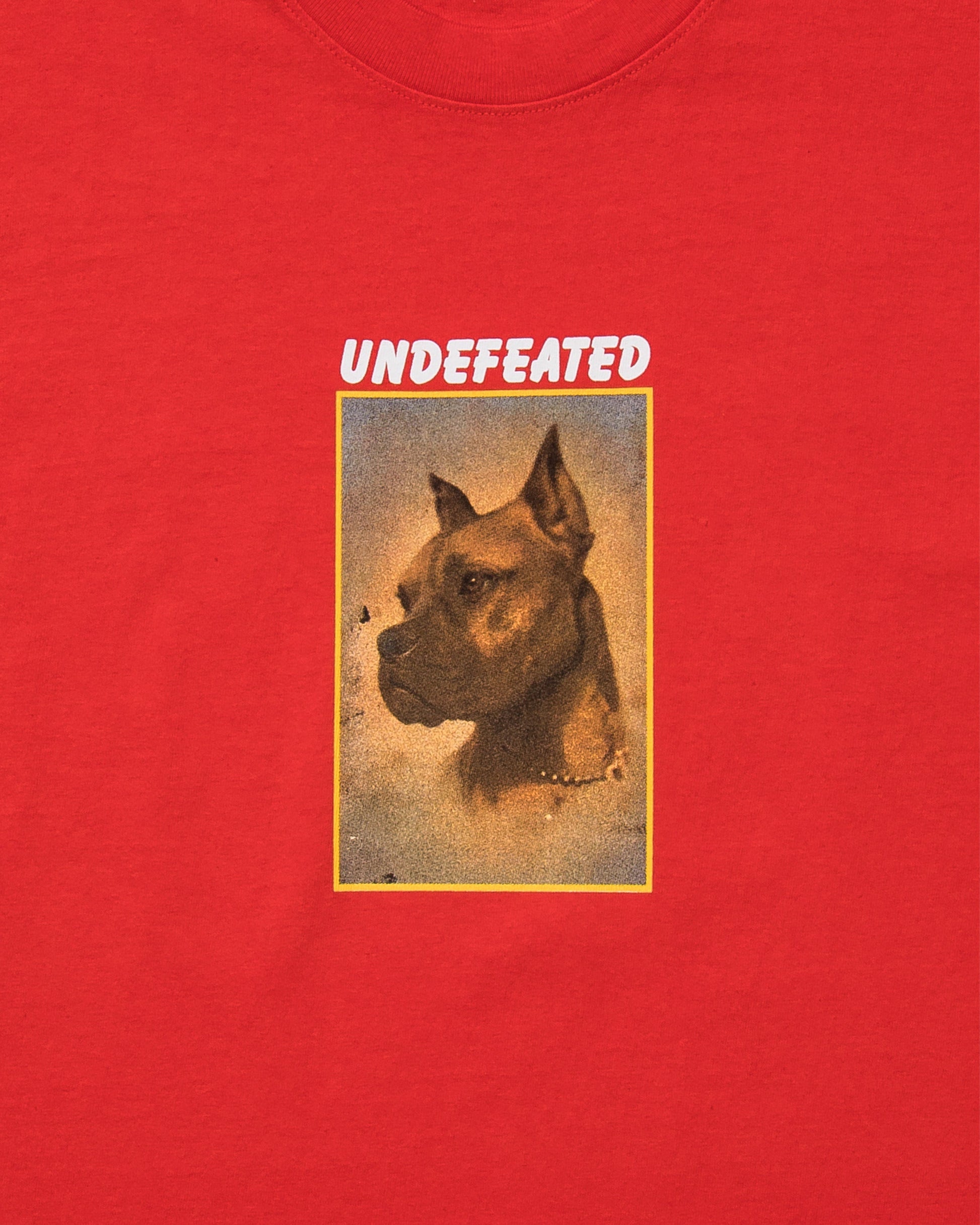 Undefeated Clothing - UNDEFEATED LOYAL S/S TEE