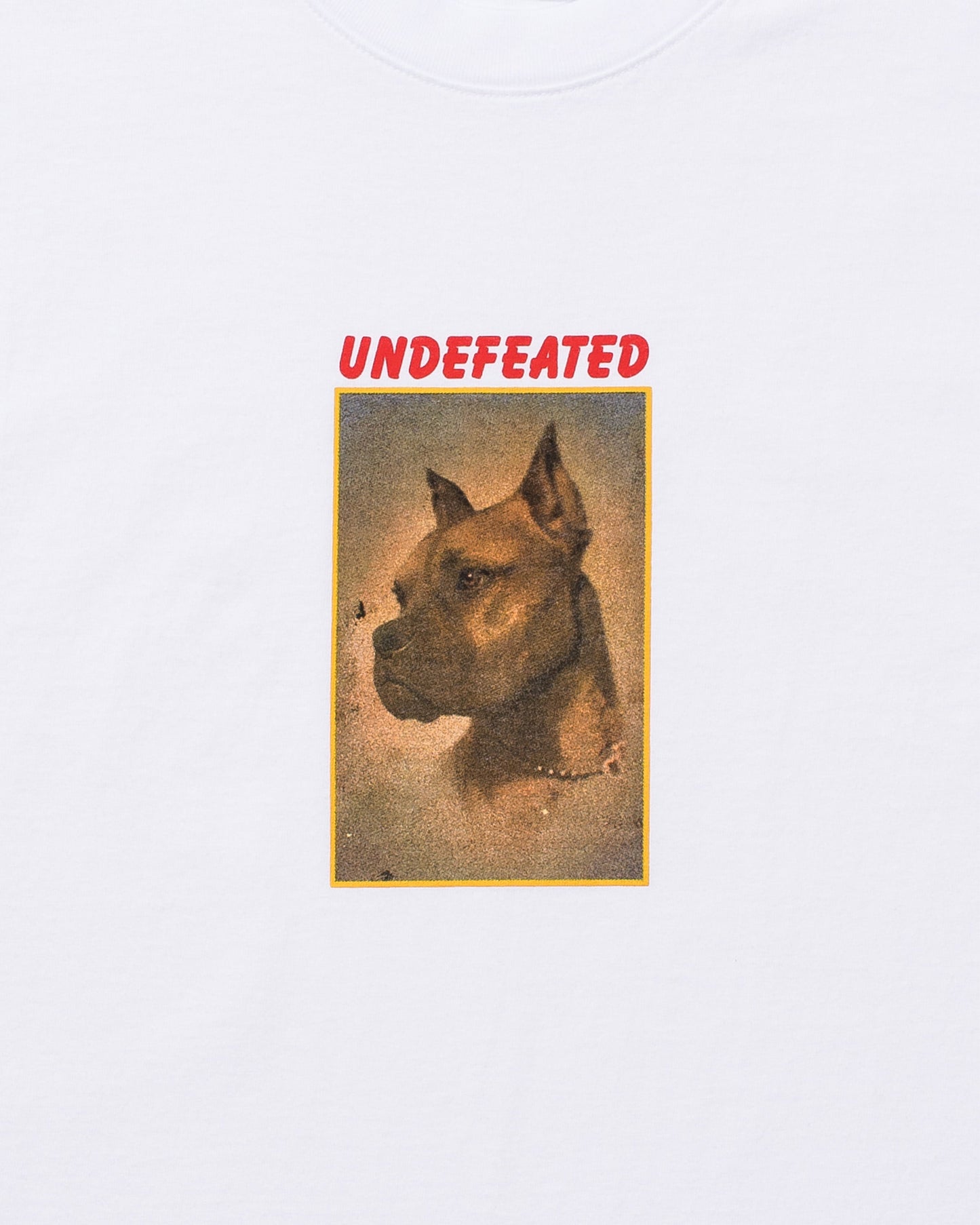 Undefeated Clothing - UNDEFEATED LOYAL S/S TEE
