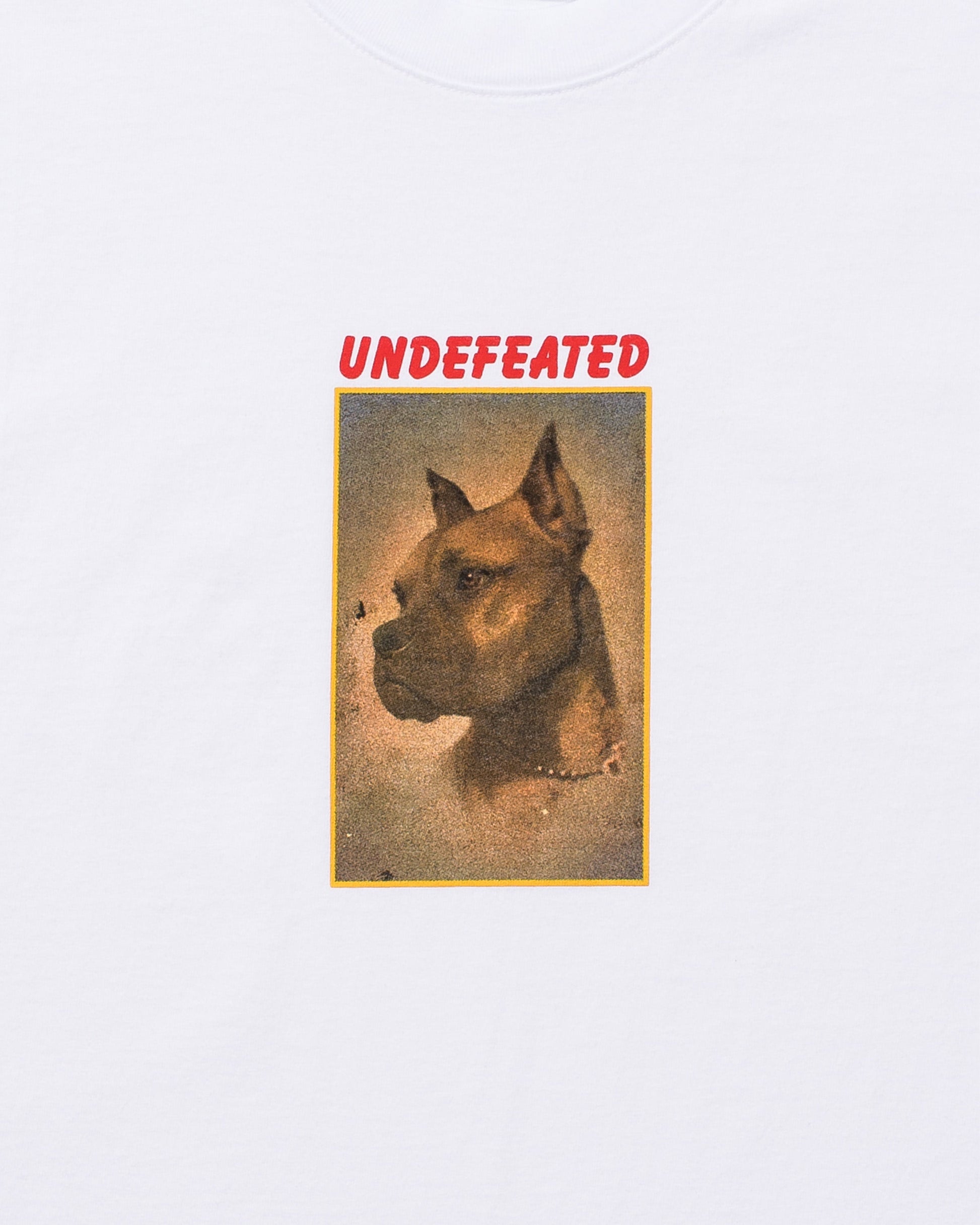 Undefeated Clothing - UNDEFEATED LOYAL S/S TEE