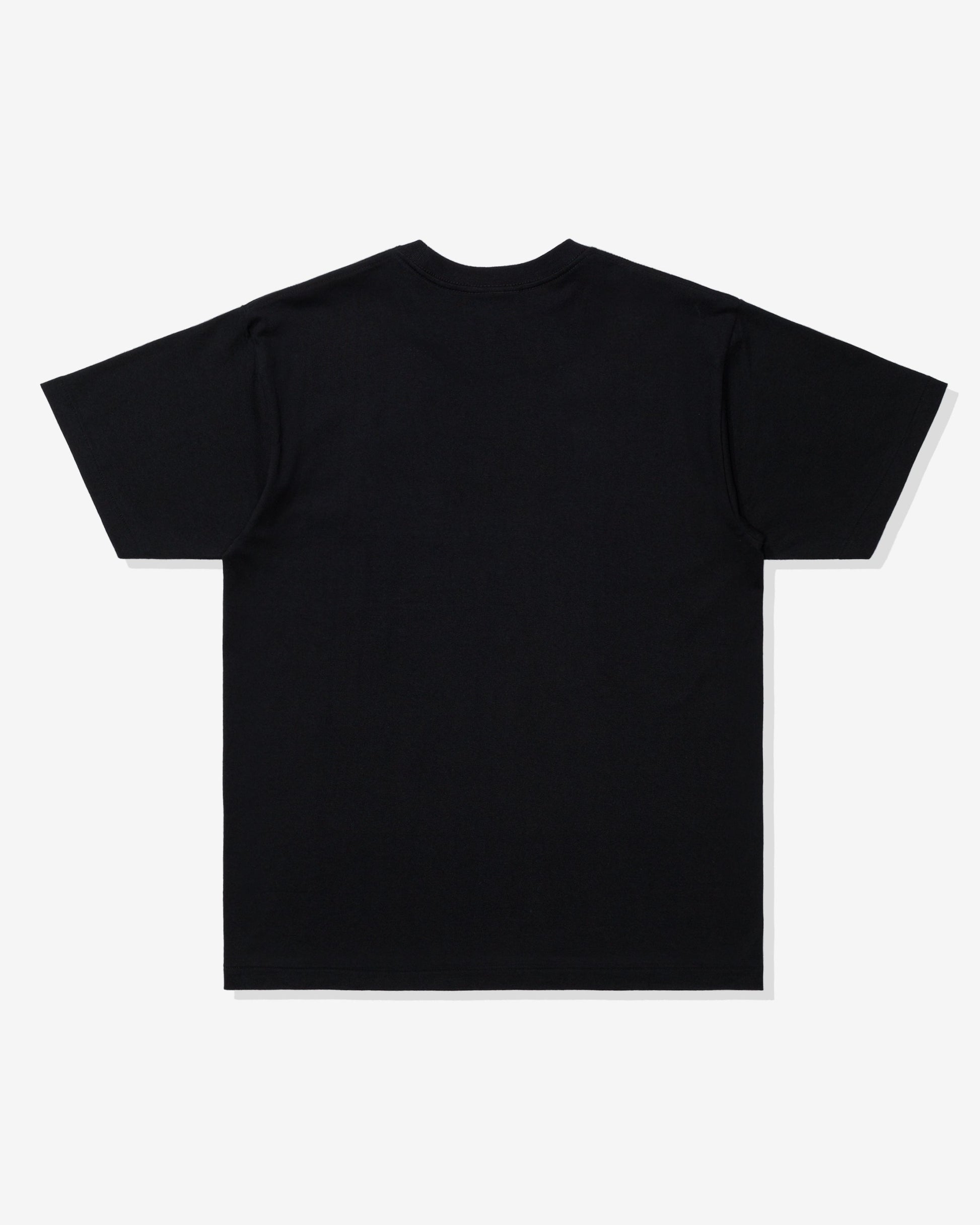 Undefeated Clothing - UNDEFEATED REGIONAL S/S TEE - PH