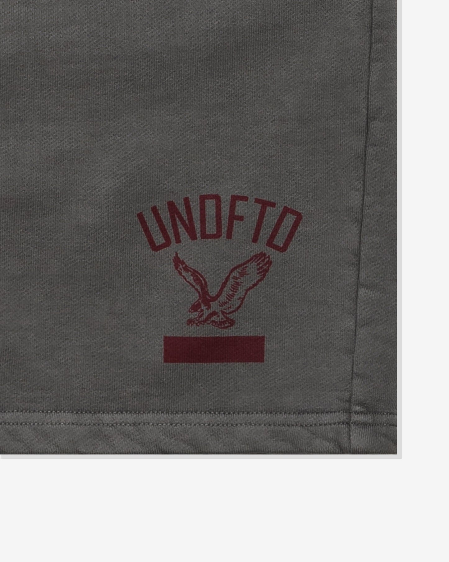 Undefeated Clothing - UNDEFEATED STATE SWEATSHORT